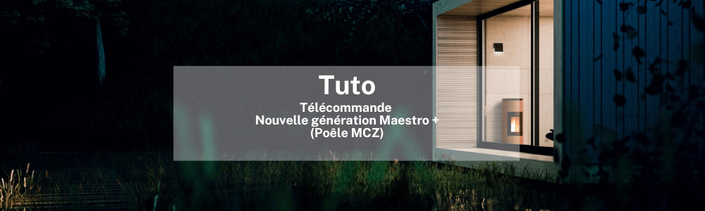 Maestro +/ Télécommande Nouvelle génération